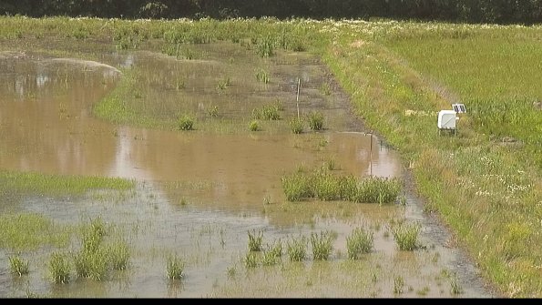 capture-14-22-06-15_15-38-56-50