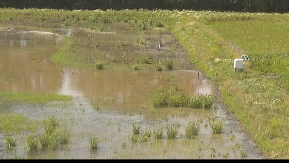 capture-14-22-06-15_16-41-19-35