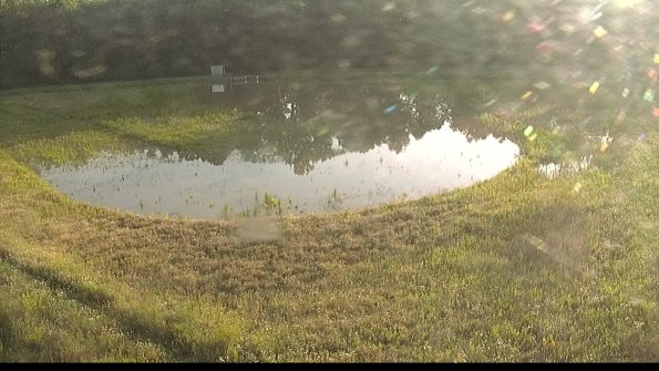 capture-15-22-06-15_07-20-01-40