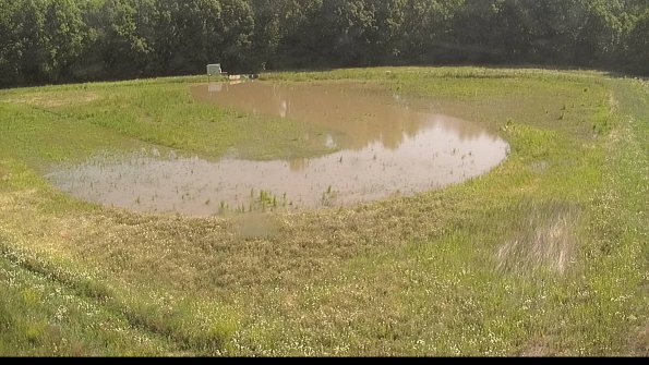 capture-15-22-06-15_10-27-12-38