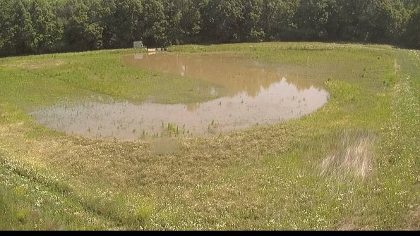 capture-15-22-06-15_11-29-35-44