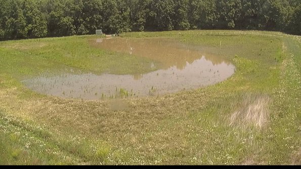 capture-15-22-06-15_12-31-59-39