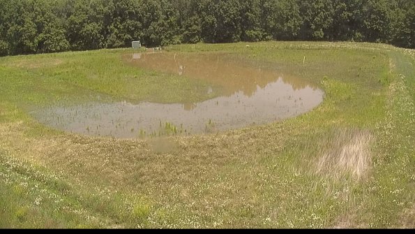 capture-15-22-06-15_13-34-22-31