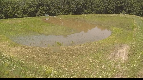 capture-15-22-06-15_14-36-46-53