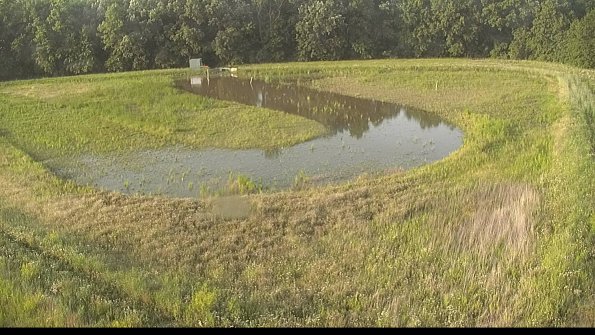 capture-15-22-06-15_19-48-44-31