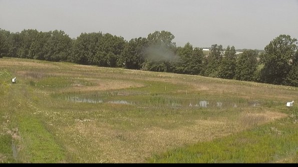 capture-4-22-06-15_12-31-02-30