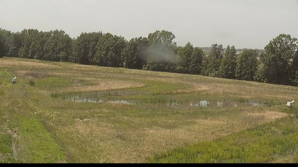 capture-4-22-06-15_14-35-49-44