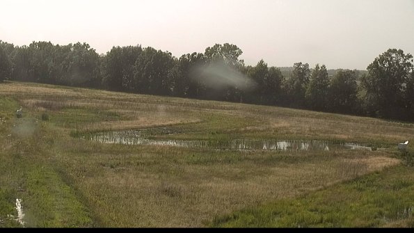 capture-4-22-06-15_17-43-00-42