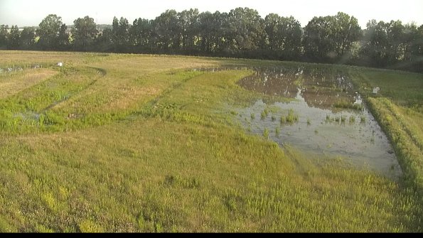 capture-6-22-06-15_07-19-33-47