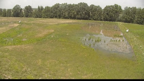 capture-6-22-06-15_13-33-54-48