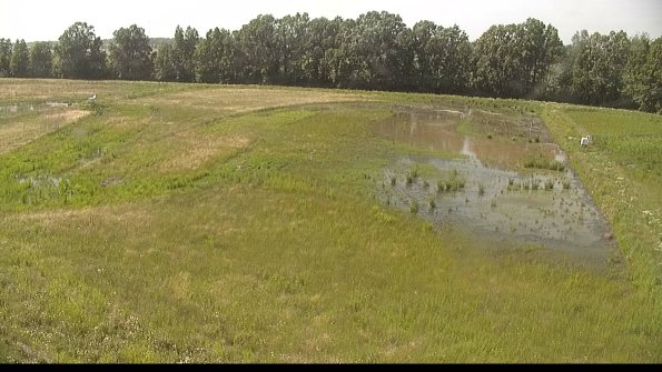 capture-6-22-06-15_16-41-05-57