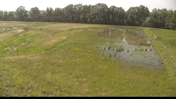 capture-6-22-06-15_17-43-28-45