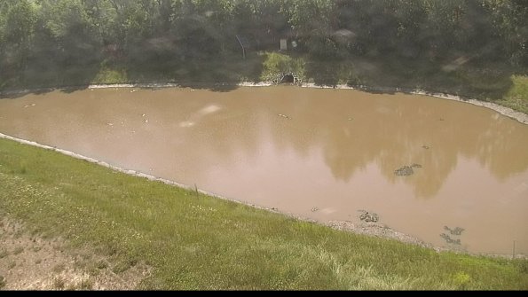 capture-8-22-06-15_10-25-33-21