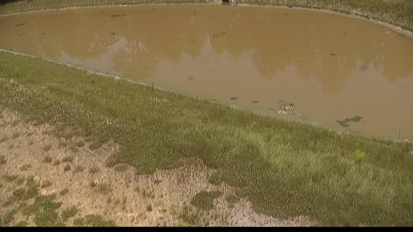 capture-8-22-06-15_13-32-42-34