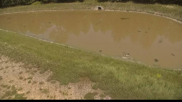 capture-8-22-06-15_14-35-05-40