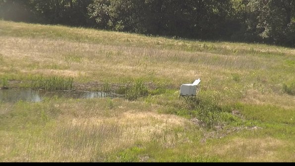 capture-13-22-06-16_16-35-50-38