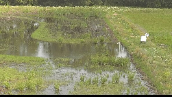 capture-14-22-06-16_10-21-57-28