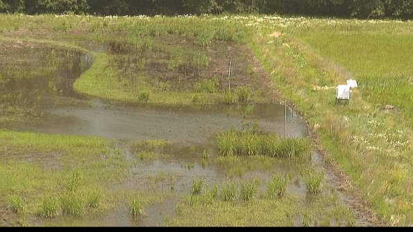 capture-14-22-06-16_11-24-21-33