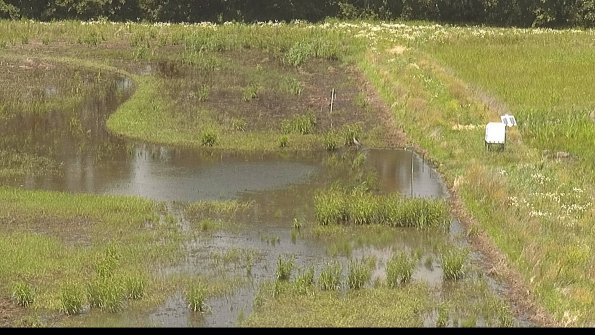 capture-14-22-06-16_13-29-07-45