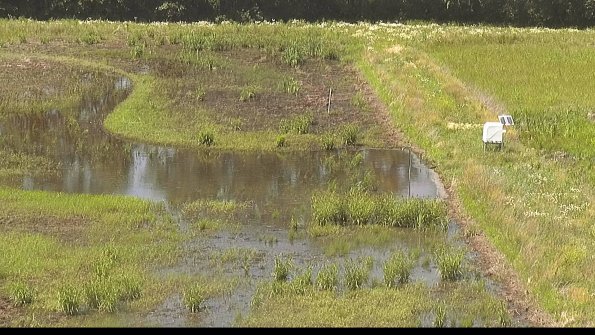 capture-14-22-06-16_15-33-55-39