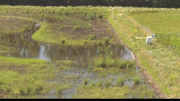 capture-14-22-06-16_16-36-18-41