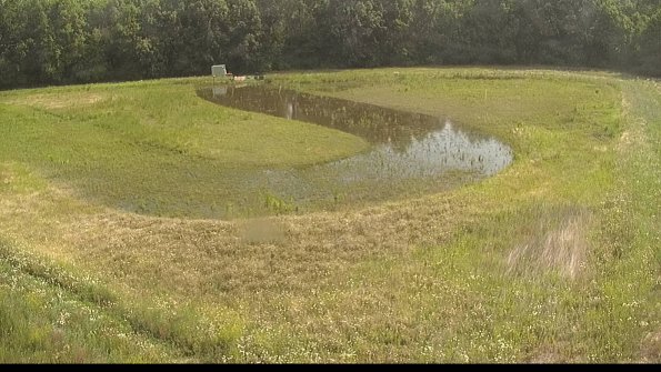 capture-15-22-06-16_10-22-11-46