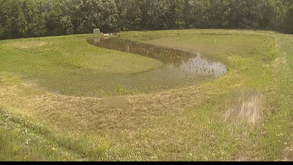 capture-15-22-06-16_11-24-35-42