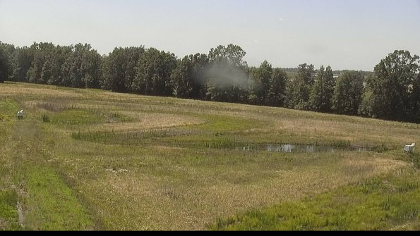 capture-4-22-06-16_15-33-12-55