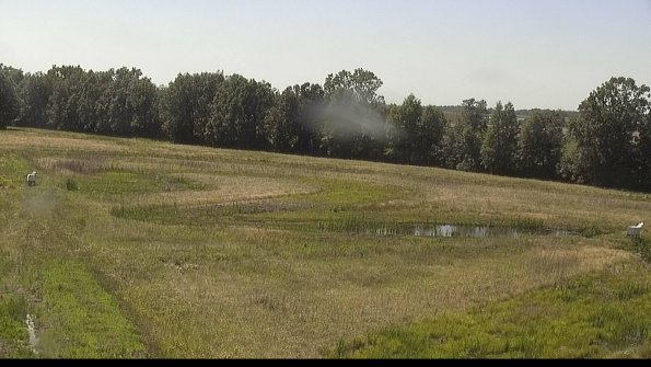 capture-4-22-06-16_16-35-36-44