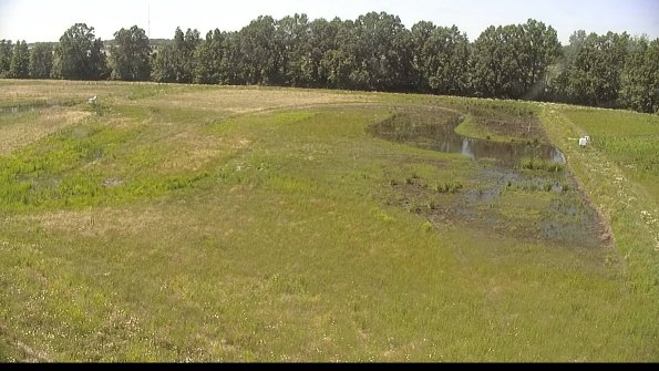 capture-6-22-06-16_15-33-41-38