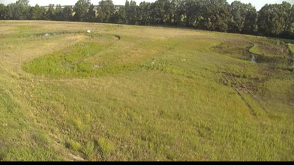 capture-1-22-06-17_08-12-53-43