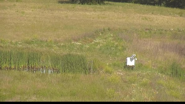 capture-12-22-06-17_09-13-43-46