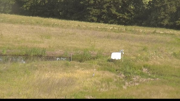 capture-13-22-06-17_09-14-11-32