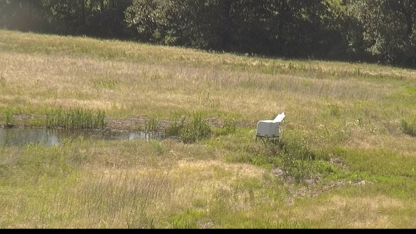 capture-13-22-06-17_16-30-55-34