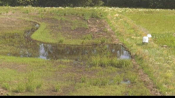 capture-14-22-06-17_10-17-02-82