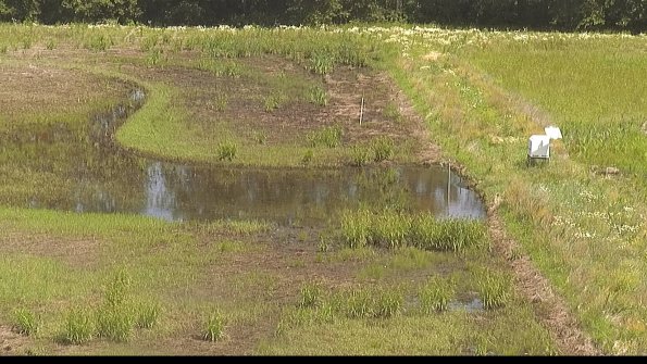 capture-14-22-06-17_11-19-26-34