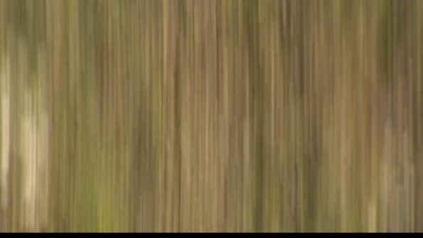 capture-16-22-06-17_09-12-28-42