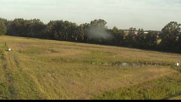 capture-4-22-06-17_07-09-04-52