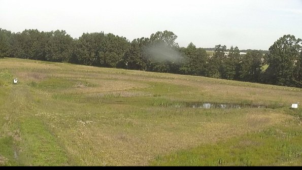 capture-4-22-06-17_09-13-14-80