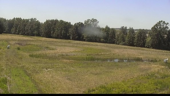 capture-4-22-06-17_15-28-17-33