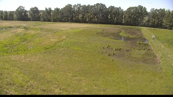 capture-6-22-06-17_16-31-10-36