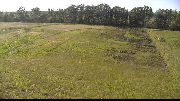 capture-6-22-06-17_18-35-57-51