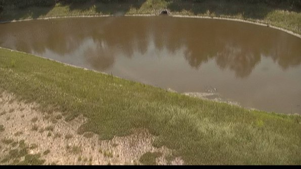 capture-8-22-06-17_11-17-59-39