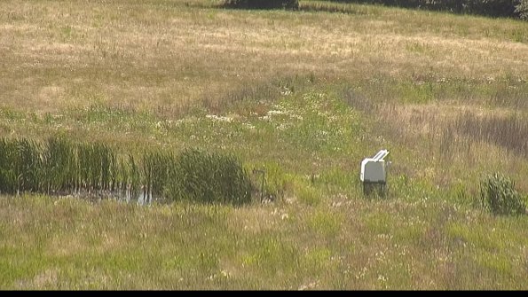 capture-12-22-06-18_15-23-06-29