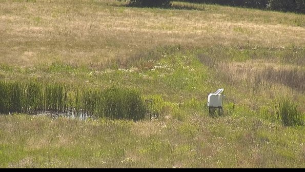 capture-12-22-06-18_16-25-30-35