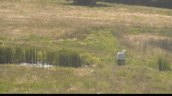 capture-12-22-06-18_17-27-53-31