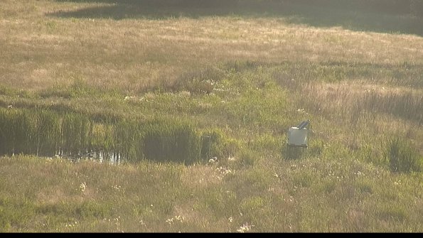 capture-12-22-06-18_19-32-41-36