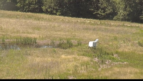 capture-13-22-06-18_14-21-11-36