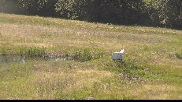 capture-13-22-06-18_16-25-58-38