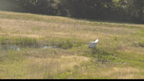 capture-13-22-06-18_17-28-21-30